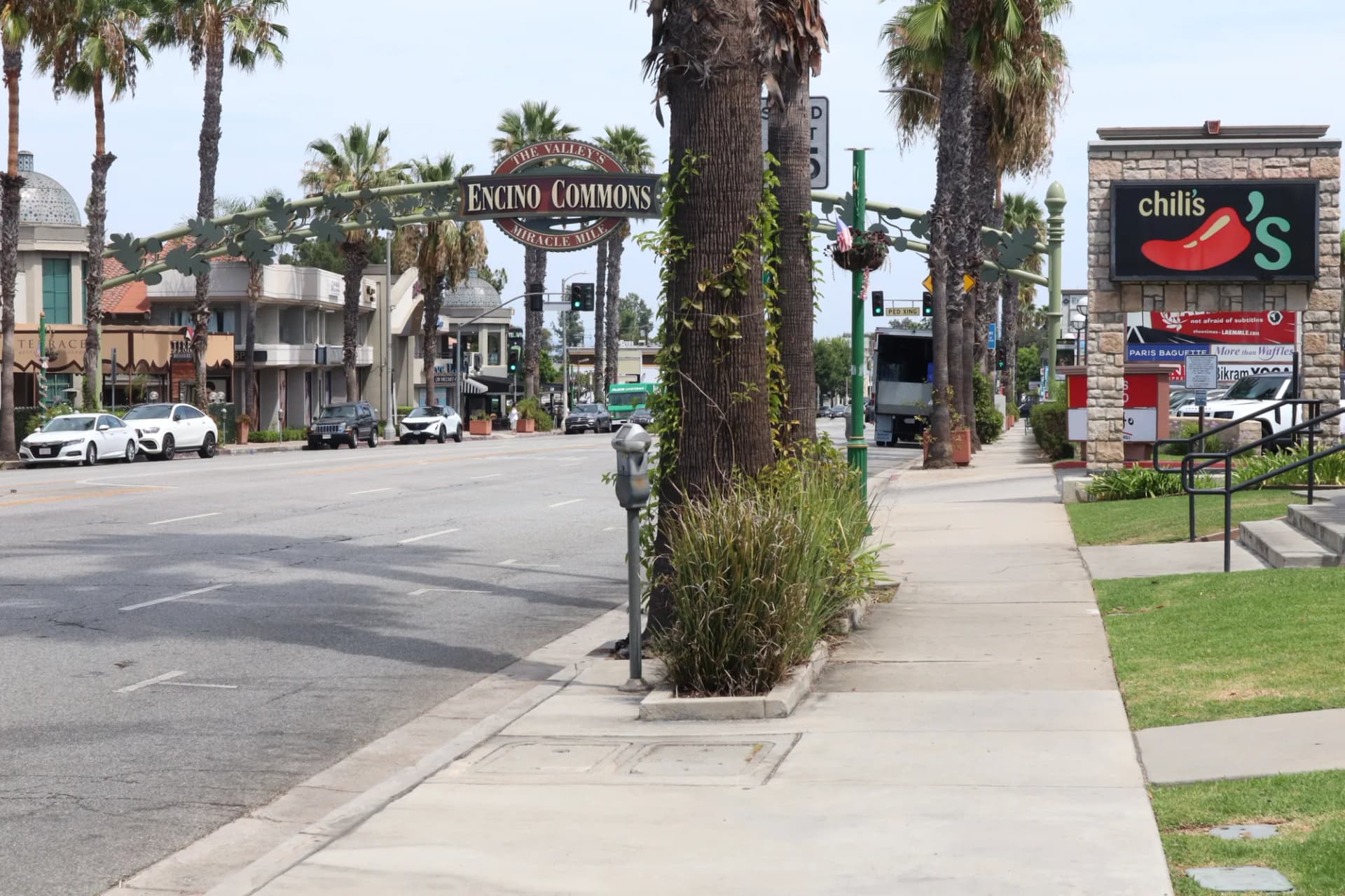 Black luxury SUV car service in Encino Los Angeles — VIP City Rides chauffeur